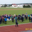 biegi 176